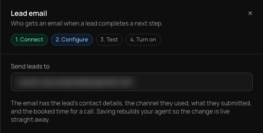The Lead email panel with a Send leads to field and a note that the email has the lead's contact details, the channel, what they submitted and any booked time.